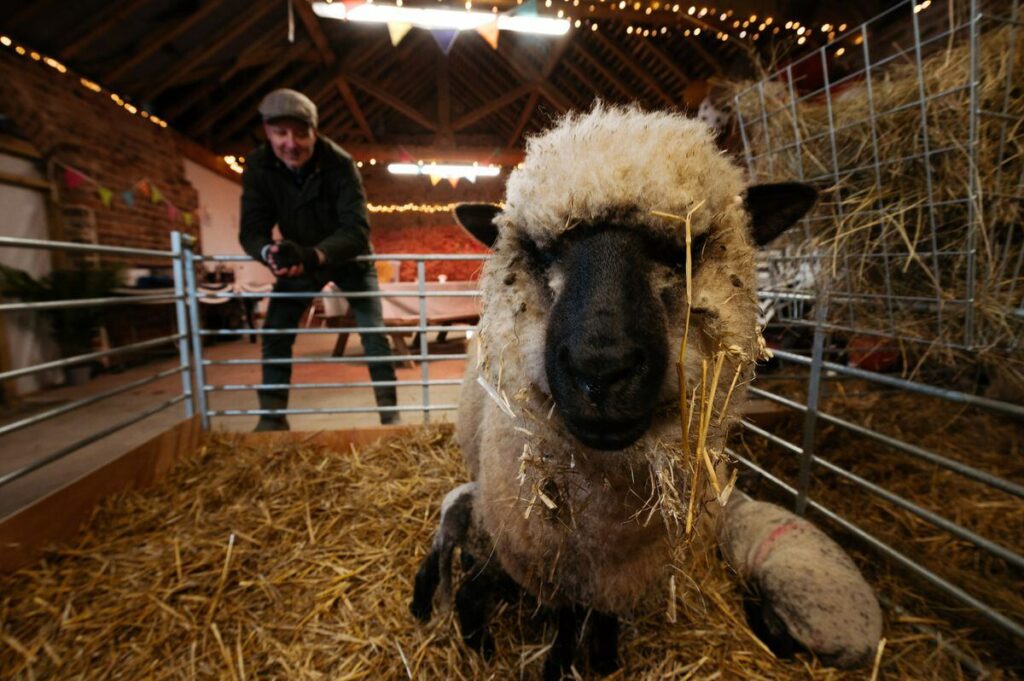 Springtime Fun on the Farm 2025