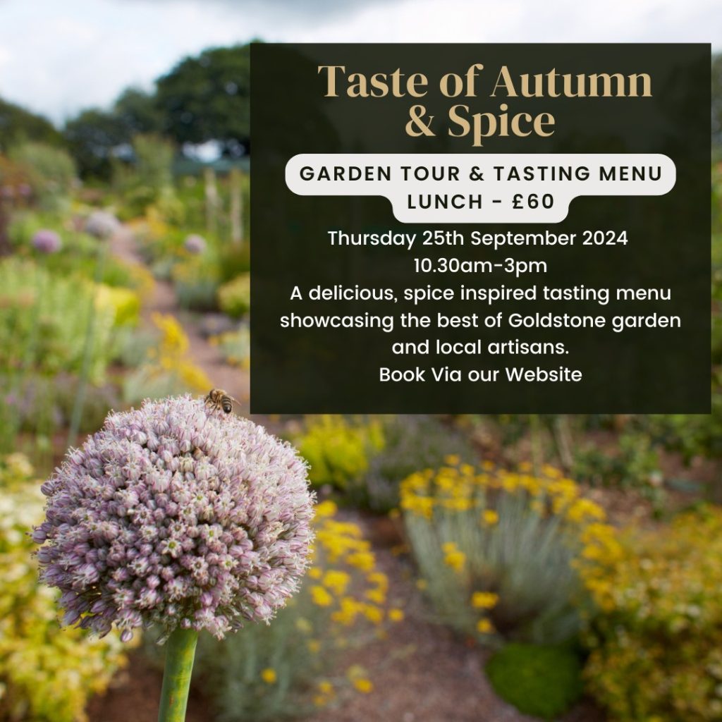 A Taste of Autumn and Spice