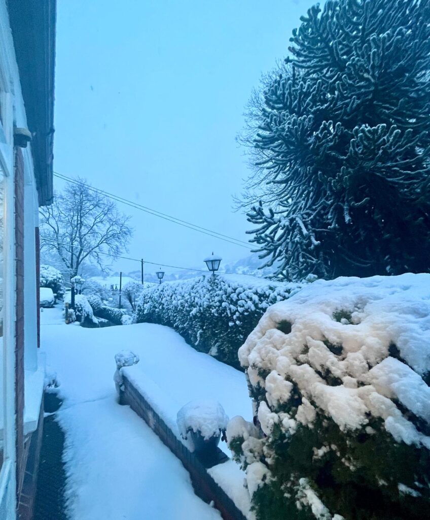 A Cozy Winter Getaway: Mynd House B&B and Exploring Shropshire’s Christmas Markets