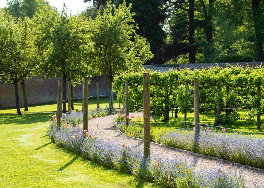 Garden Open Day at Combermere Abbey
