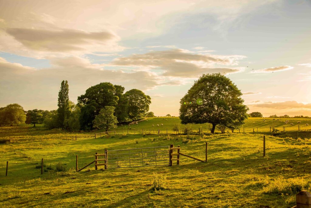 Lingen Davies Cancer Care renews funding for restorative sessions at England’s first Community-Owned Farm
