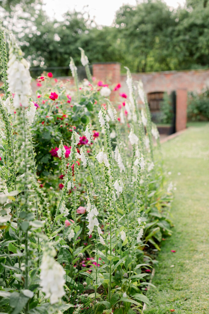 Garden Open Day at Combermere Abbey
