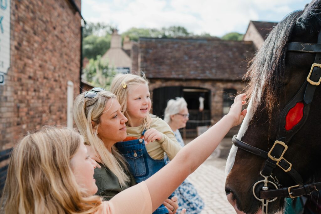Heavy Horse Weekend