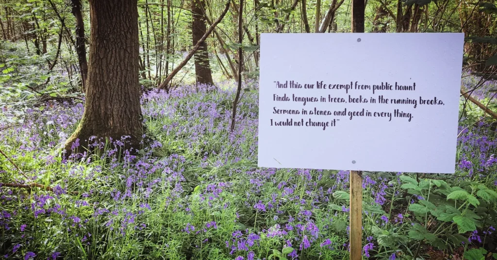 2025 charity opening of the AS YOU LIKE IT bluebell wood