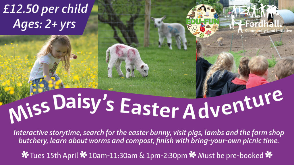 Miss Daisy's Easter Adventure